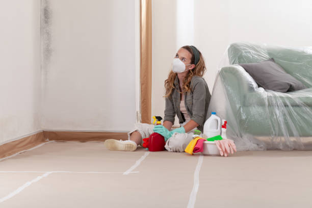 Reliable Bathroom Mold Removal contractor in Stevensburg, VA by WQB Mold Removal